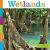 Wetlands (Seedlings)