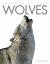 Amazing Animals: Wolves