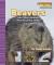 Beavers and Other Animals with Amazing Teeth