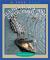 Alligators and Crocodiles (True Books)