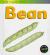 Life Cycle of a Bean