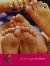 Rigby Sails Emergent Leveled Reader How Many Toes, Satellite