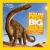 National Geographic Little Kids First Big Book of Dinosaurs (National Geographic Little Kids First Big Books)