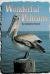 Wonderful Pelicans