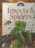 Insects & Spiders