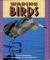 Wading Birds