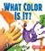 What Color Is It?