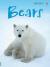 Bears (Beginners Nature - New Format)