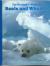 The Wonderful World of Seals and Whales