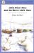 Little Polar Bear and the Brave Little Hare (A North-South Paperback)