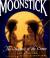 Moonstick The Seasons of the Sioux