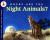 Where Are the Night Animals?