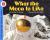 What the Moon Is Like