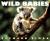 Wild Babies