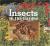 Insects in the Garden