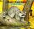 About Mammals: A Guide for Children (The About Series)