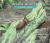 About Insects A Guide for Children