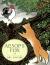 Aesop's Fox