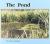 The Pond (Books for Young Learners)