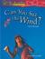 Can You See the Wind?