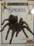 Spiders