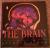 The Brain Our Nervous System
