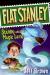 STANLEY AND THE MAGIC LAMP (Paperback)