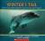 Winter's Tail How One Little Dolphin Learned to Swim Again