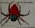 The Very Busy Spider