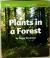 Become an Expert Plants in a Forest - Florida