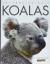 Koalas