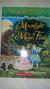 Moonlight on the Magic Flute