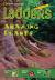 Ladders Reading/Language Arts 3: Amazing Plants (one-Below; Science)