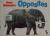 Brian Wildsmith's Opposites
