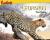 Leopards