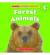 Guided Science Readers Group C