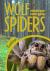 Wolf Spiders