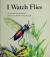 I Watch Flies