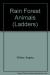 Rain Forest Animals