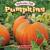 Pumpkins