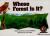 Whose Forest Is It?