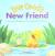 Little Quack's New Friend