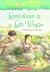 Magic Tree House. Merlin Missions Leprechaun in late winter. #15