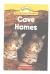 Cave Homes