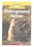 Underground Homes