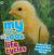 My Little Book of Life Cycles Packed full of cool photos and fascinating facts!