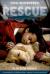 Dog Whisperer The Rescue