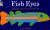 Fish Eyes A Book You Can Count on