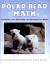 Polar Bear Math Learning About Fractions from Klondike and Snow