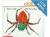 Very Busy Spider